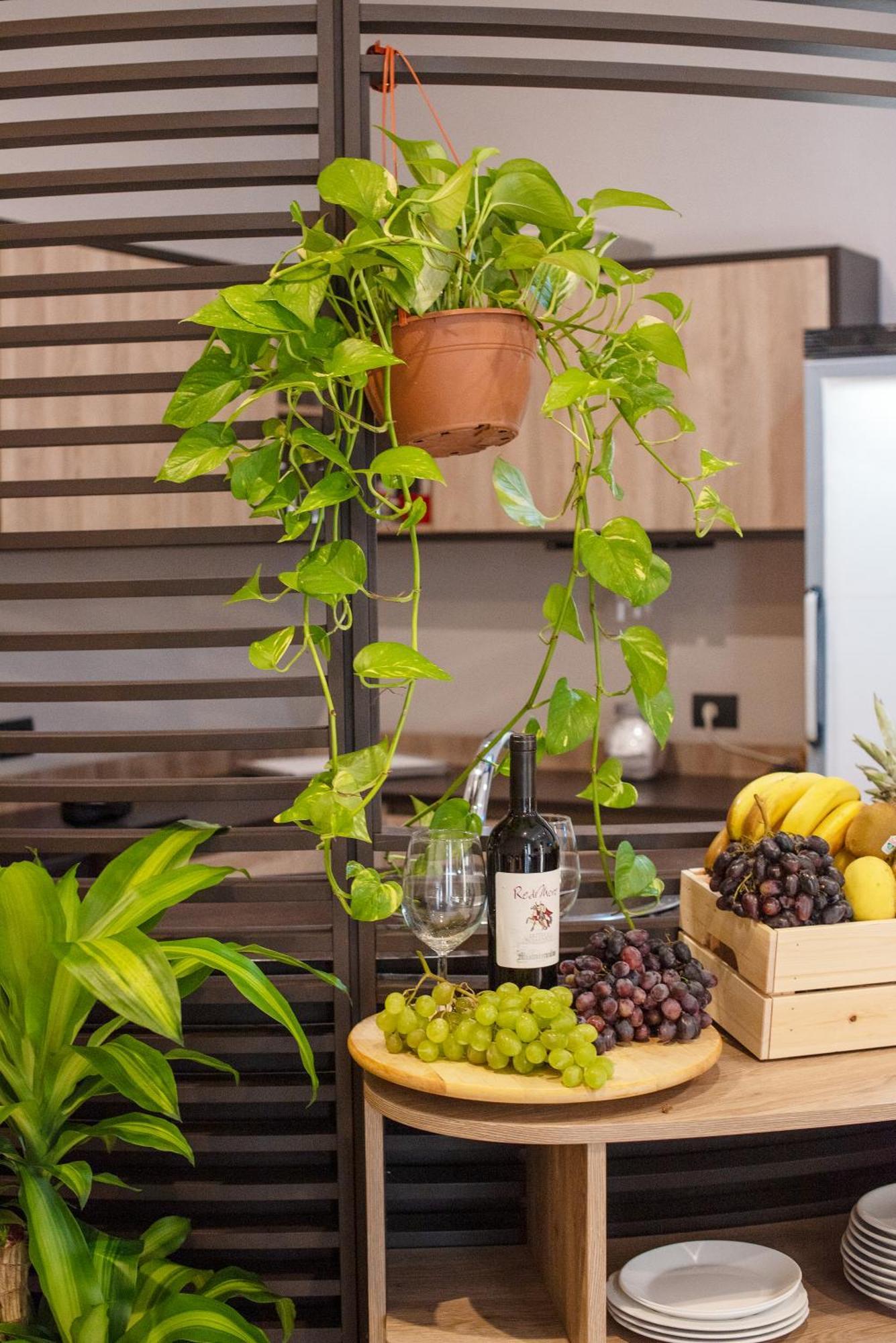 Neapolis Lifestyle Bed & Breakfast Dış mekan fotoğraf